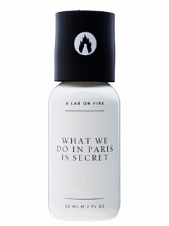 What We Do Is Secret (ex. A Lab On Fire) What We Do In Paris Is Secret
