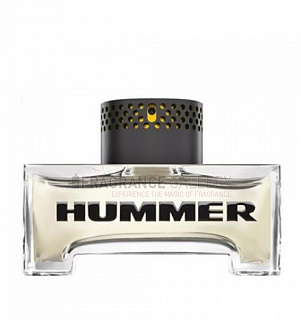 Hummer Hummer