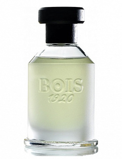 Bois 1920 Youth Magia